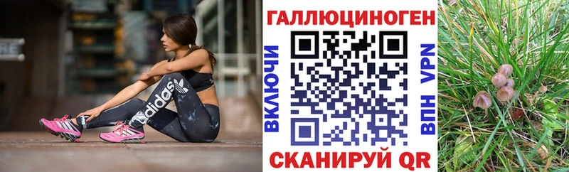 Галлюциногенные грибы Cubensis  Чебоксары 